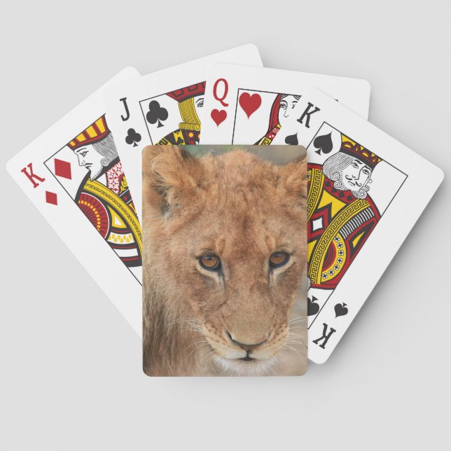 Baraja De Cartas Lion Cub (Reverso)