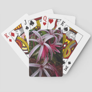 Baraja De Cartas Lirio Crinum Púrpura de la Reina Emma
