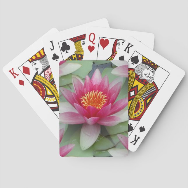 Baraja De Cartas Lirio de agua de Lotus rosa (Reverso)