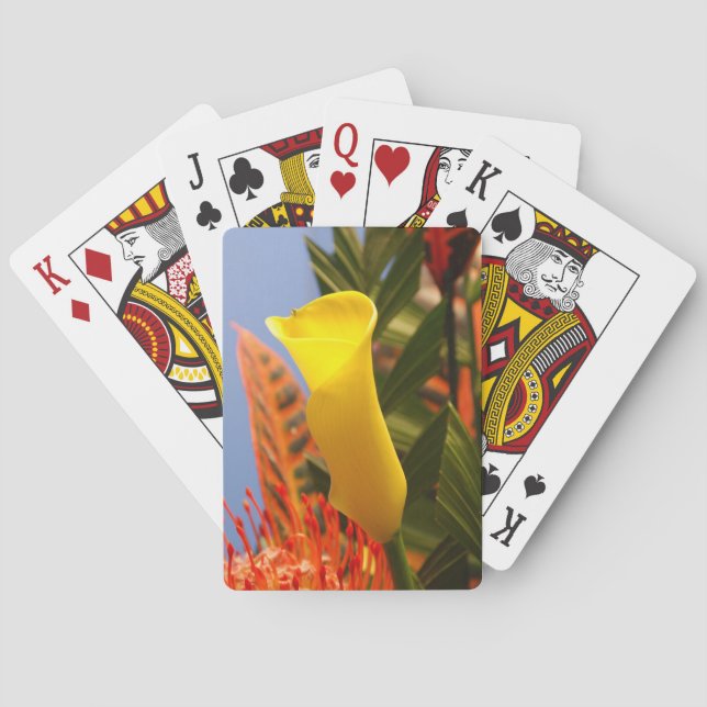 Baraja De Cartas lirio de calla amarillo mini (Reverso)