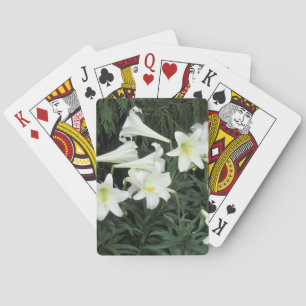 Baraja De Cartas Lirio de Pascua (Lilium regale)