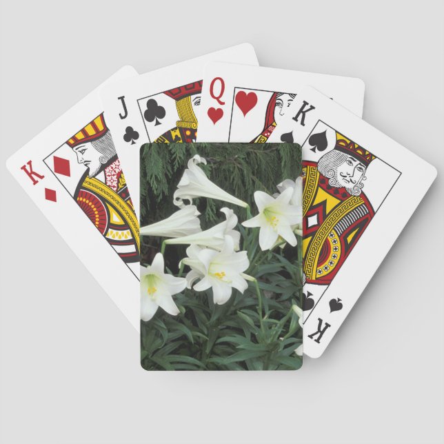Baraja De Cartas Lirio de Pascua (Lilium regale) (Reverso)