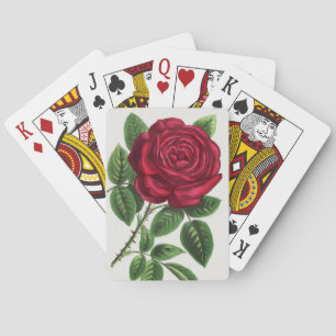 Baraja De Cartas Litografía de rosa antigua, François-Frédéric Grob