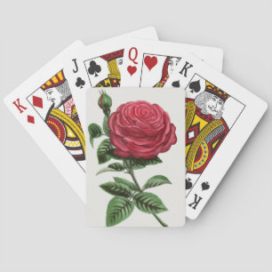 Baraja De Cartas Litografía de rosa antigua, François-Frédéric Grob