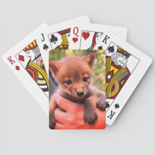Baraja De Cartas Little Coyote