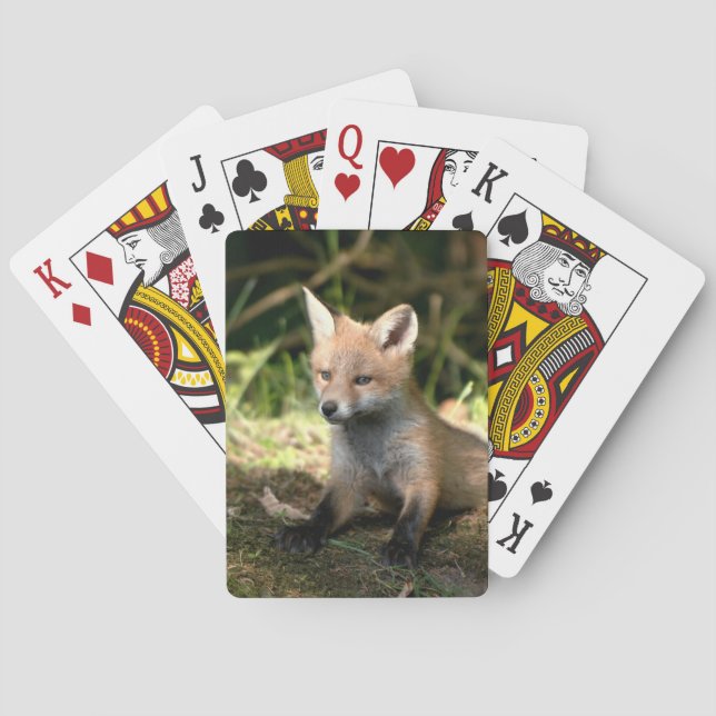 Baraja De Cartas Little Cub Red Fox (Reverso)
