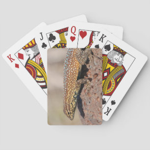 Baraja De Cartas Lizard