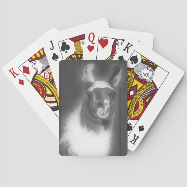 Baraja De Cartas Llama En Animal De Granja Blanca Y Negra (Reverso)