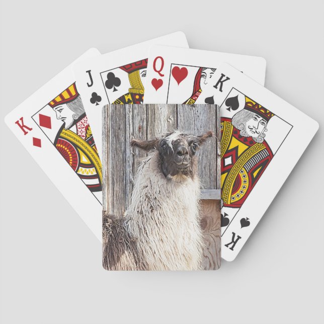 Baraja De Cartas Llama frente a un granero (Reverso)