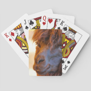 Baraja De Cartas Llama negra