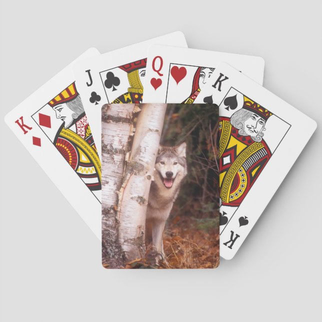 Baraja De Cartas Lobo gris detrás de un árbol (Reverso)
