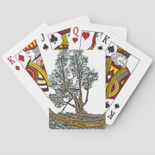 Baraja De Cartas Lonely Cypress