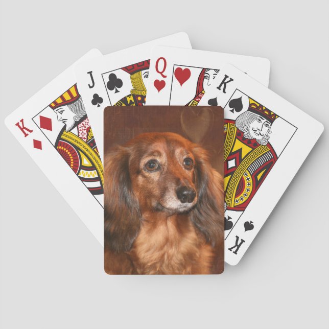 Baraja De Cartas Long haired dachshund (Reverso)