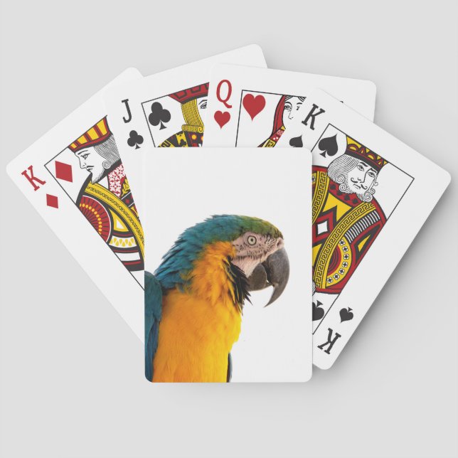 Baraja De Cartas Loro  (Reverso)