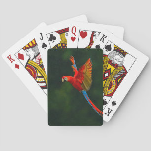 Baraja De Cartas Loro en vuelo