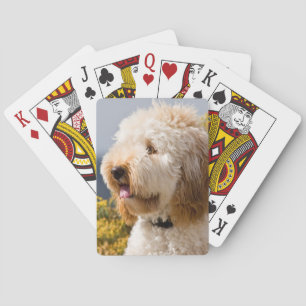 Baraja De Cartas Los E.E.U.U., California. Retrato de Labradoodle 3