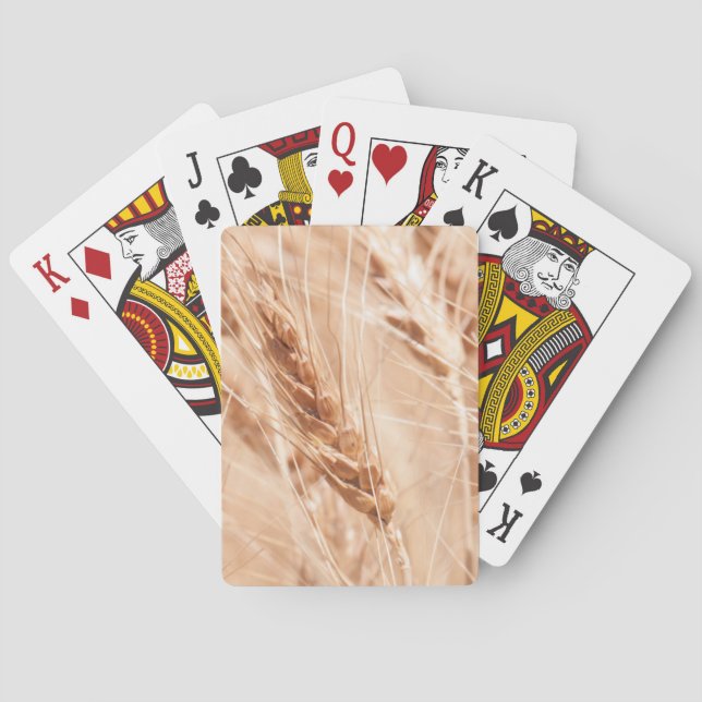 Baraja De Cartas Los E.E.U.U., Kansas, trigo en el tiempo de (Reverso)