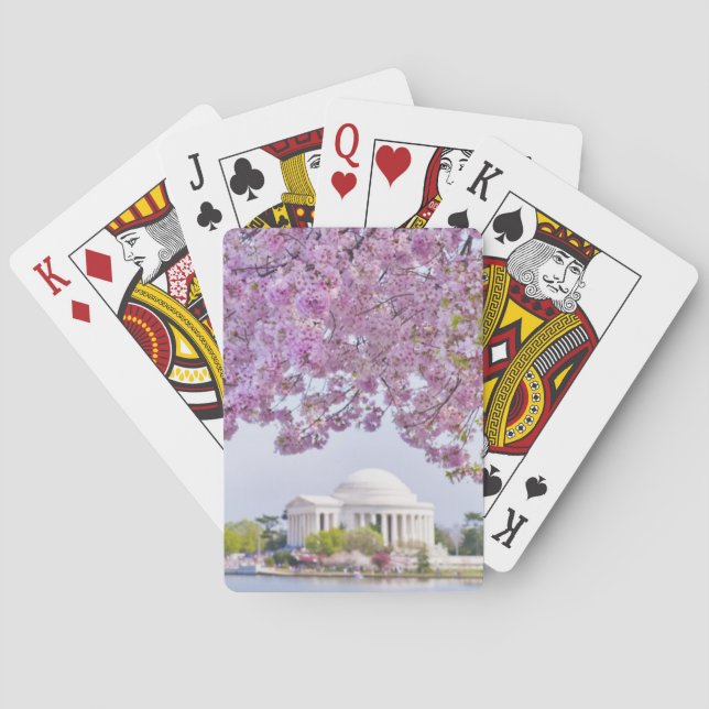 Baraja De Cartas Los E.E.U.U., Washington DC, cerezo en la (Reverso)