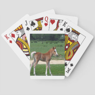 Baraja De Cartas Los regalos de destino de los estafadores de bebé