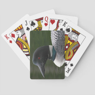 Baraja De Cartas Lote