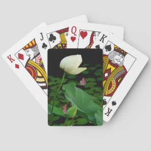 Baraja De Cartas Loto Nenúfar