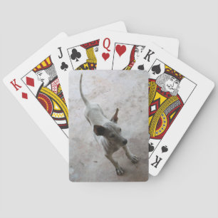 Baraja De Cartas Luk Maa... Perro picante tailandés