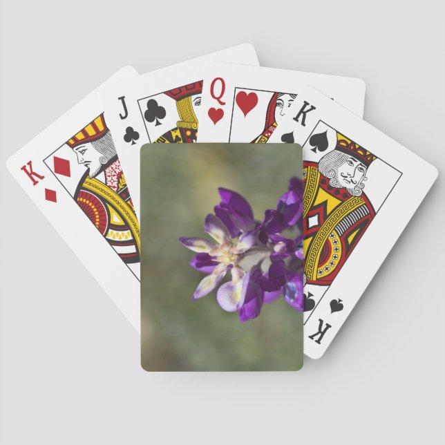 Baraja De Cartas Lupine Close-up (Reverso)