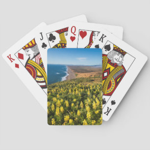 Baraja De Cartas Lupino Amarillo Sobre la Playa Point Reyes En Poin