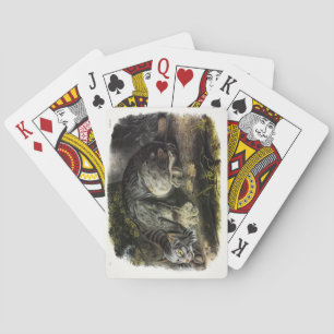 Baraja De Cartas Lynx (Lynx Canadensis) (lince canadiense)