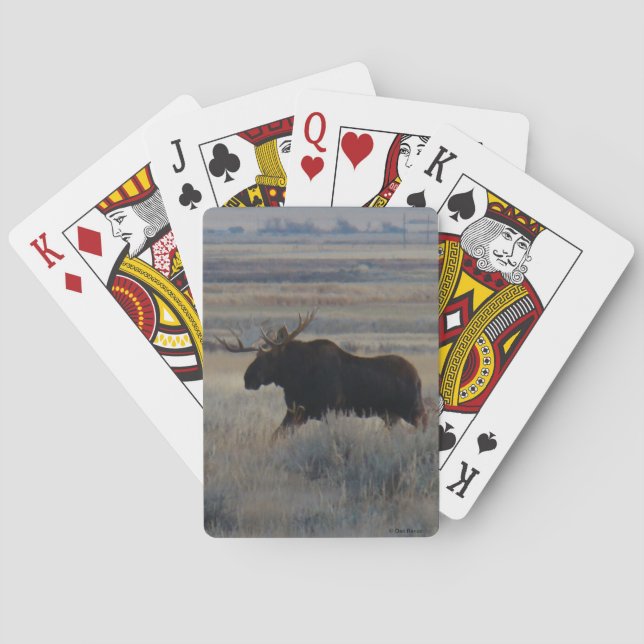 Baraja De Cartas M2 Bull Moose (Reverso)