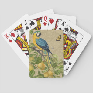 Baraja De Cartas Macaw Blue Yellow Tropical Jungle Antigüedad