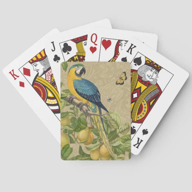Baraja De Cartas Macaw Blue Yellow Tropical Jungle Antigüedad (Reverso)
