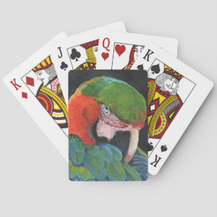 Baraja De Cartas Macaw híbrido