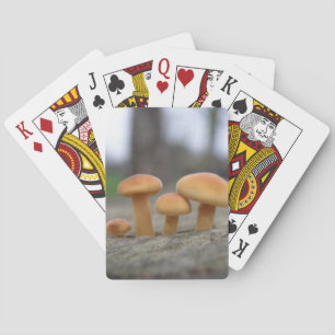 Baraja De Cartas Macros de toadstools muy pequeños