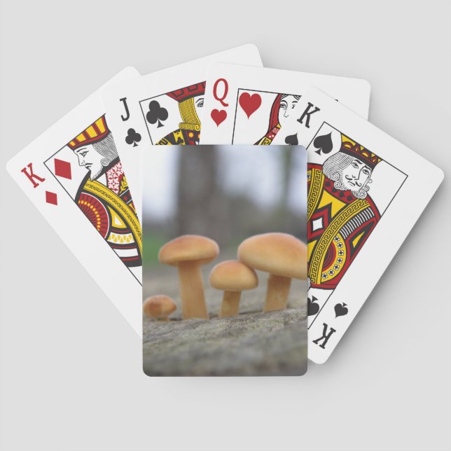 Baraja De Cartas Macros de toadstools muy pequeños (Reverso)