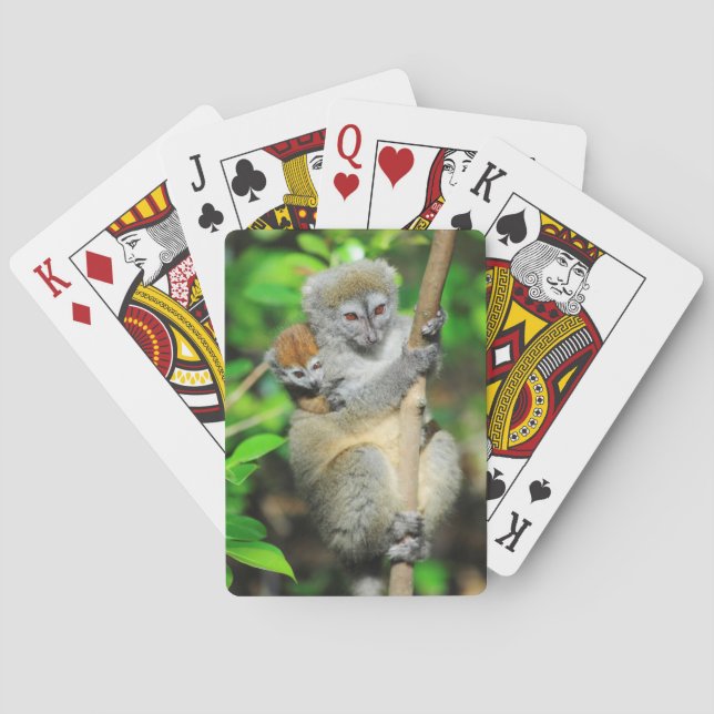 Baraja De Cartas Madagascar, Andasibe, Ile Lemuriens aux., madre (Reverso)