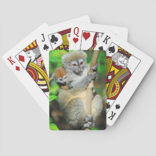 Baraja De Cartas Madagascar, Andasibe, Ile Lemuriens aux., madre