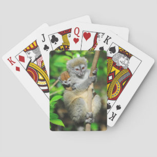 Baraja De Cartas Madagascar, Andasibe, Isla de los Lémures, Madre