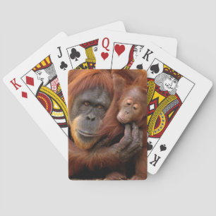 Baraja De Cartas Madre e hijo Orangutan