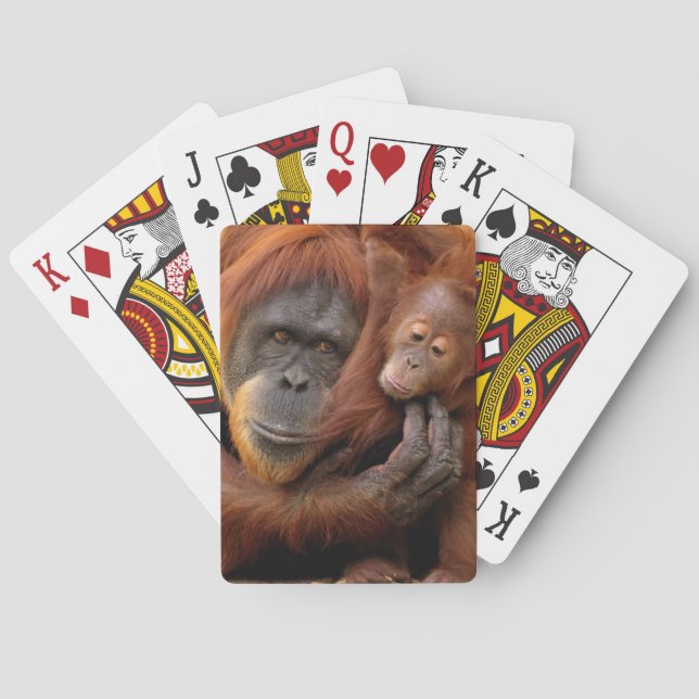 Baraja De Cartas Madre e hijo Orangutan (Reverso)