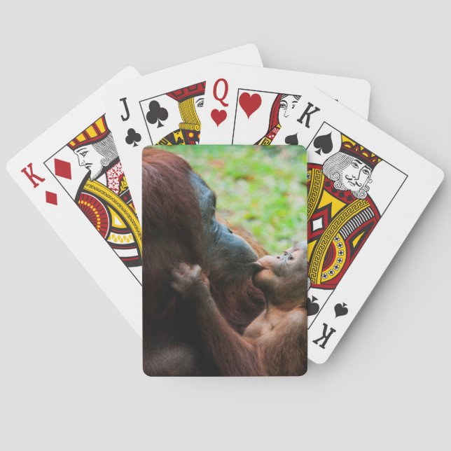 Baraja De Cartas Madre y bebé de Orangután (Reverso)