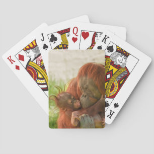 Baraja De Cartas Madres de Orangutan Tender Momentos
