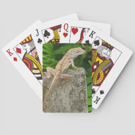 Baraja De Cartas Maestro del Camuflaje