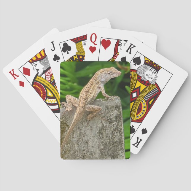 Baraja De Cartas Maestro del Camuflaje (Reverso)