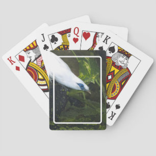 Baraja De Cartas Mainá de Bali