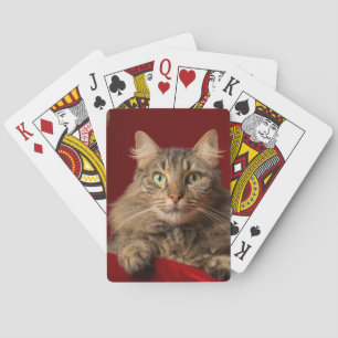 Baraja De Cartas Maine Coon para Navidad con coleccionista