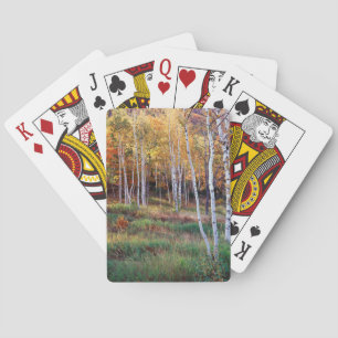 Baraja De Cartas Maine, Parque Nacional Acadia, Otoño