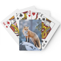 Majestic Winter Fox Photography