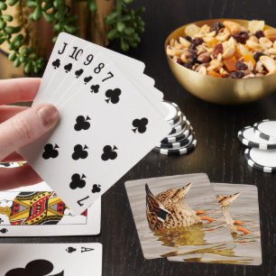 Baraja De Cartas Malard Duck Alimentando Bajo El Agua