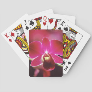 Baraja De Cartas Malasia, Orquídea